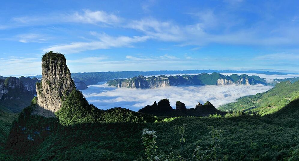 1768355241176498.jpg 2601134.jpg